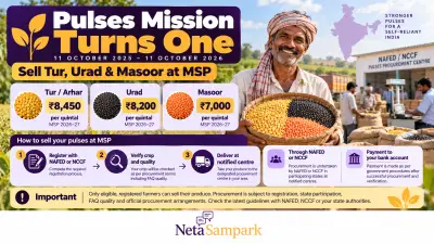 Pulses Mission Turns One (11 October 2026): How Tur, Urad and Masoor Farmers Can Sell Their Whole Crop at MSP Through NAFED or NCCF