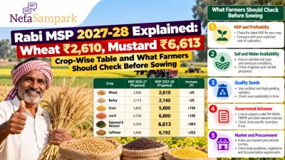 Rabi MSP 2027-28 Explained: Wheat ₹2,610, Mustard ₹6,613 — Crop-Wise Table and What Farmers Should Check Before Sowing